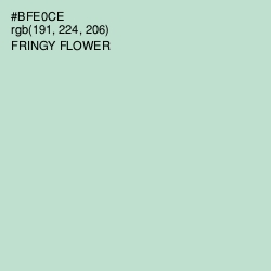 #BFE0CE - Fringy Flower Color Image